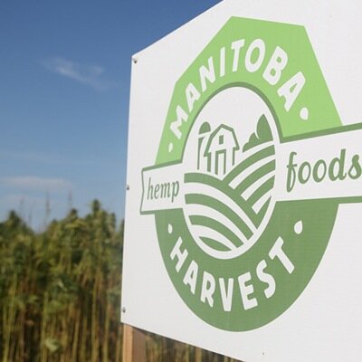 Hemp agronomy from the world’s largest vertically-integrated hemp foods manufacturer. 
#FreshHempFoods #ManitobaHarvest #Growinghemp #Hempfarming #Canada