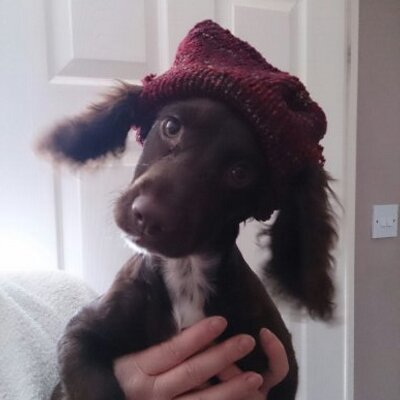 Profile Picture of Nigel Lowe (@Nige3) on Twitter