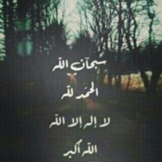 khalid333_ Profile Picture