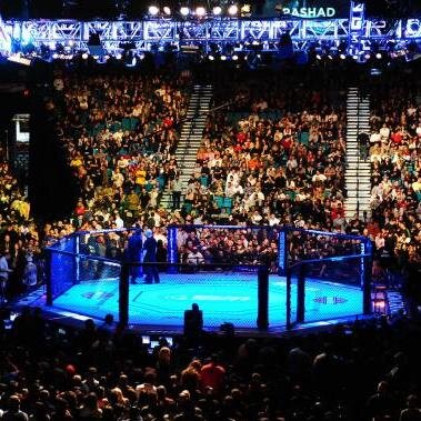 RoadtoMMA's profile picture. 