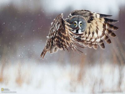 Amazing world pics.