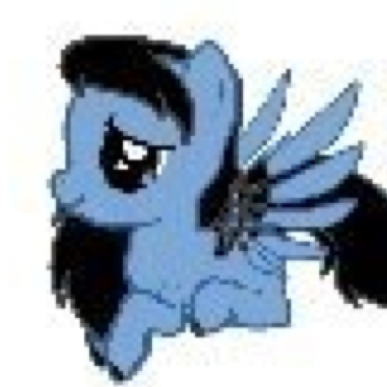 Just a filly why do you give a shit all rp