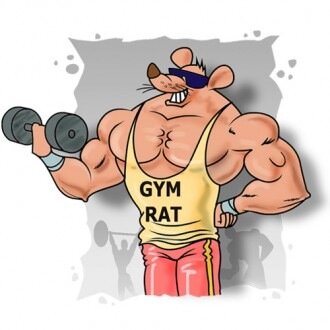 Everything that you want to say in the gym but you are too much of a pussy to say...dont worry we have you covered, send us a dm to our inbox to sound off