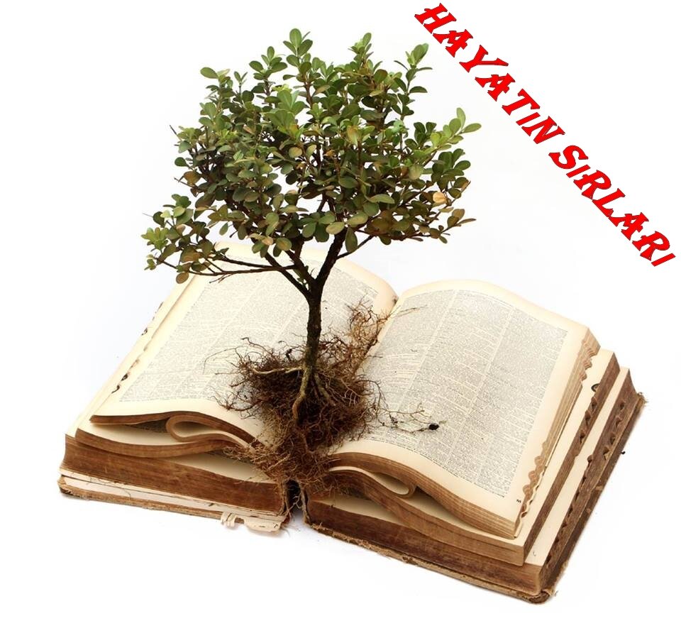 Bilgi Güçtür, Paylaştıkça Büyür. !
! HS !