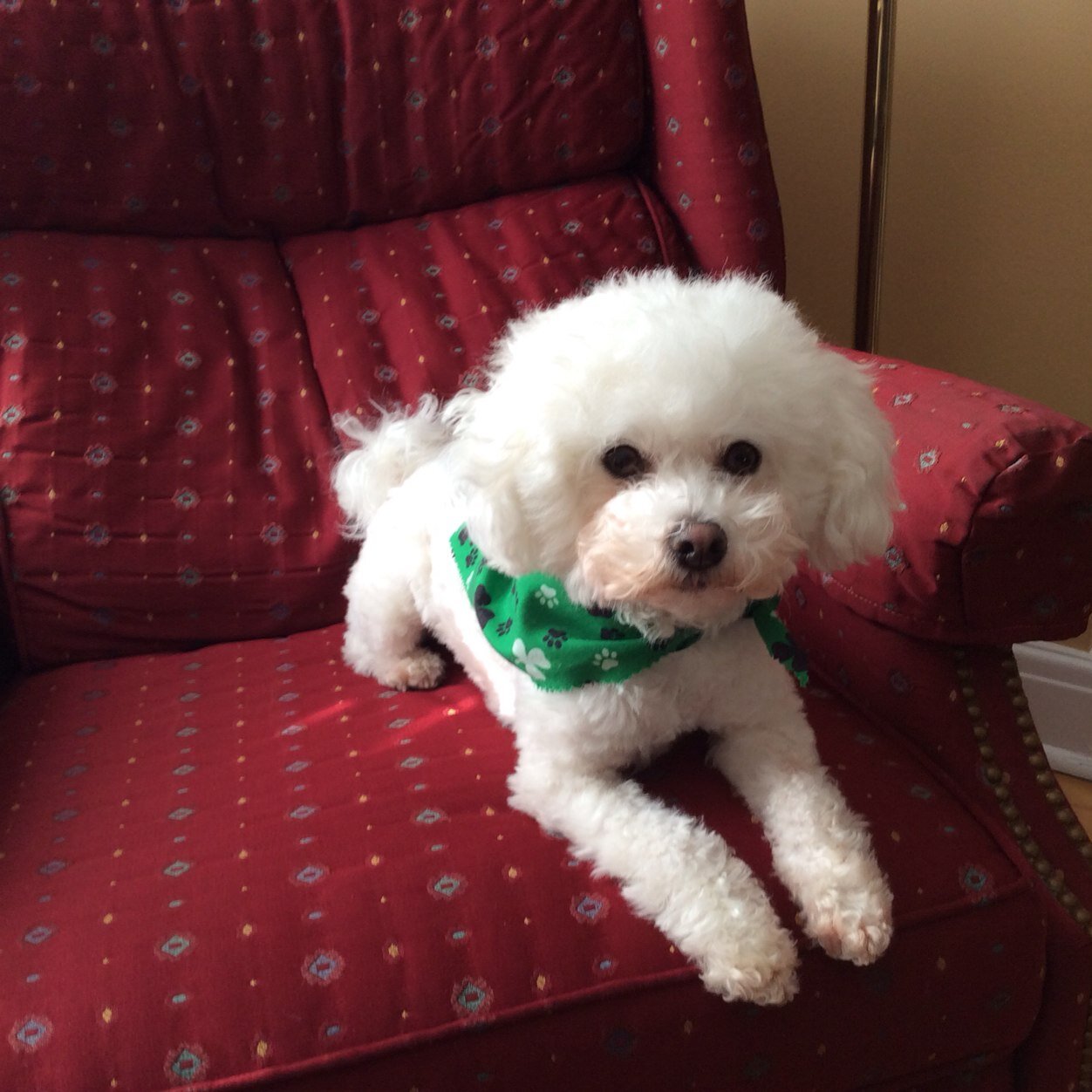 SueCam198's profile picture. Wife, mom, sister, aunt, friend, shopper, traveller and slave to my dog! Passionate about cancer care. I like to connect the dots and colour outside the lines.