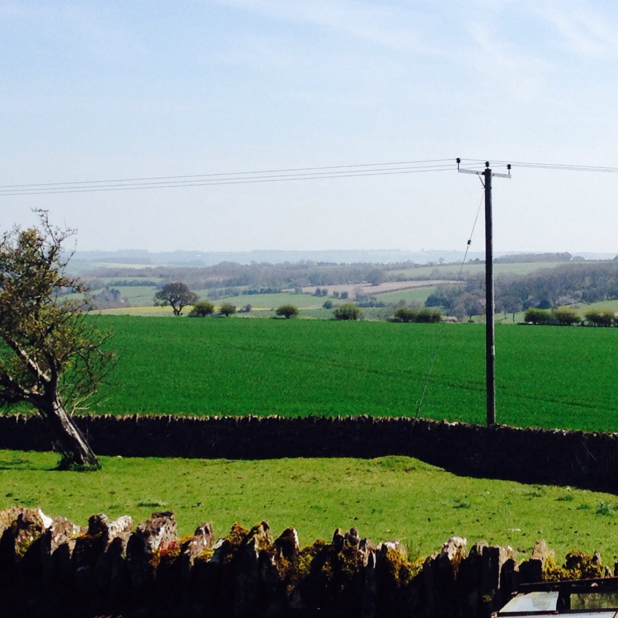 Lilyn818's profile picture. 