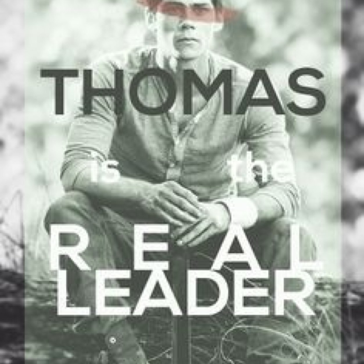 I'm 12 yrs...

No posts of myself...

I love The Maze Runner series and th Divergent series...

Minho, Thomas, Brenda, Tris, and Tobias/Four