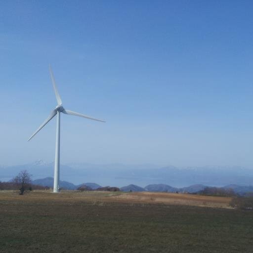 tomaibao's profile picture. 