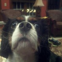 john kinkopf (@skiptardo) 's Twitter Profile