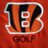 Coach_Blasi's profile image