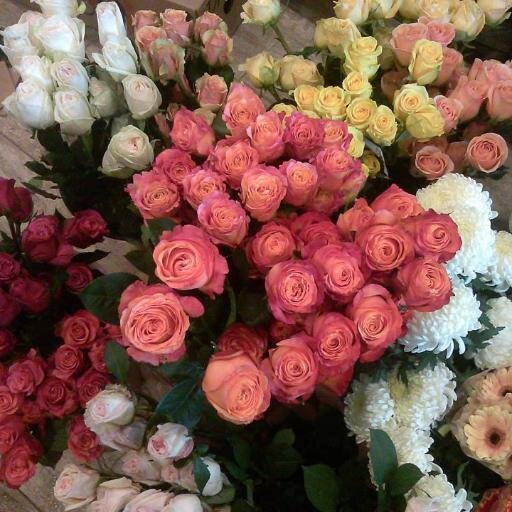Nestled in the hills of Chatsworth, CA in a restored century-old home, Joan's Flower Shop specializes in creating the perfect floral expression of your message.