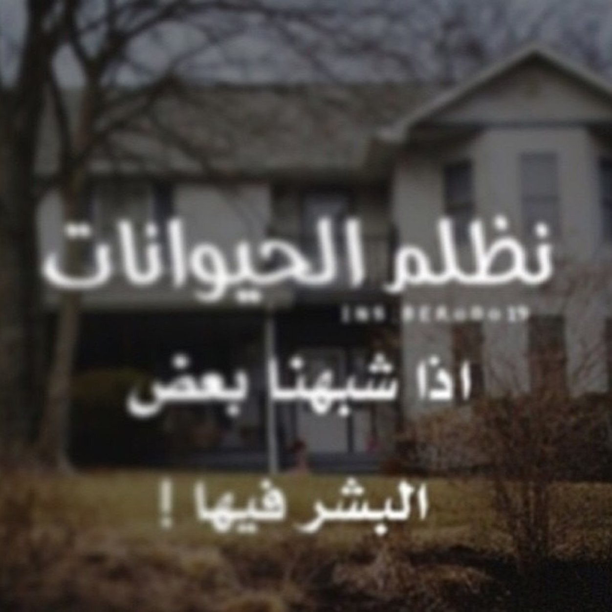 SAAr5566's profile picture. 