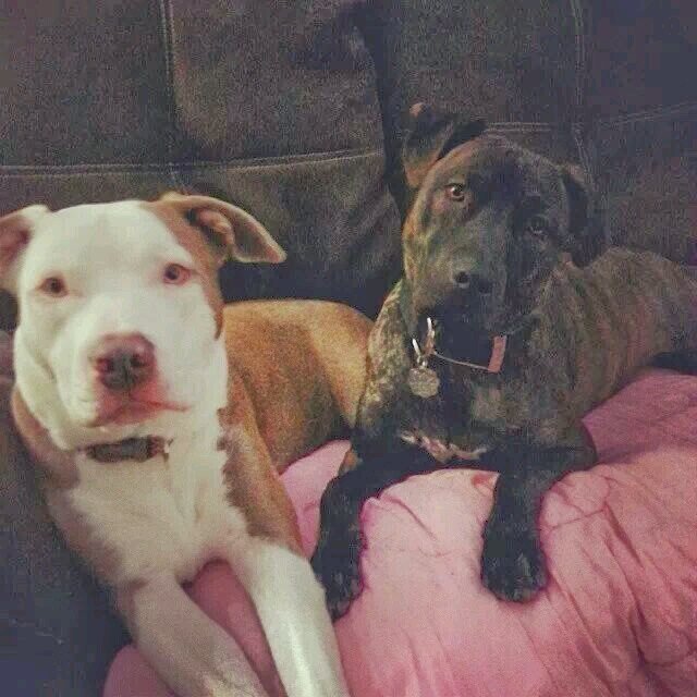 sweetmarie69's profile picture. 