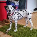 Ellen Delaney - @edelaney70 - Twitter