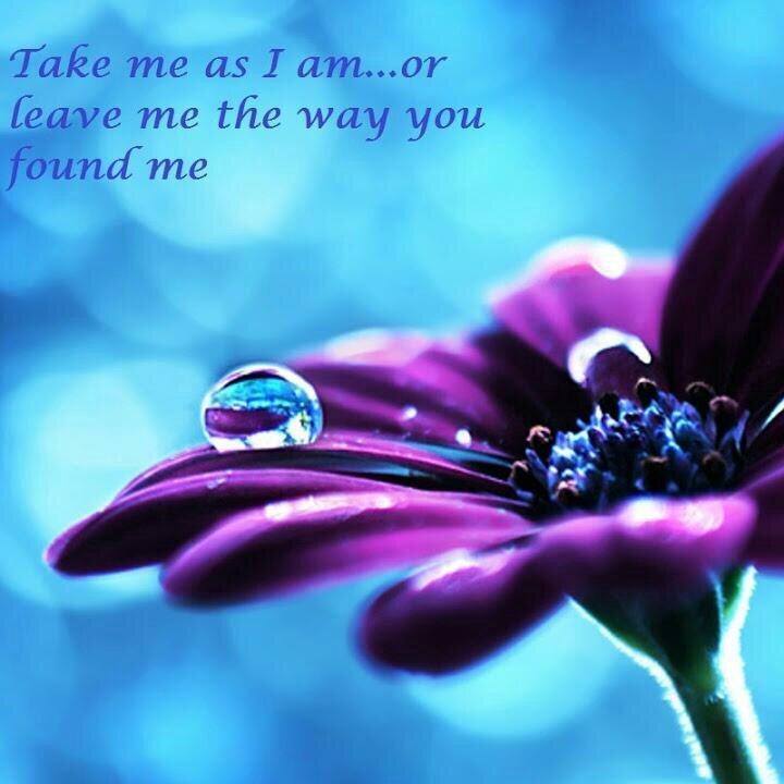 kellylyn1113's profile picture. 