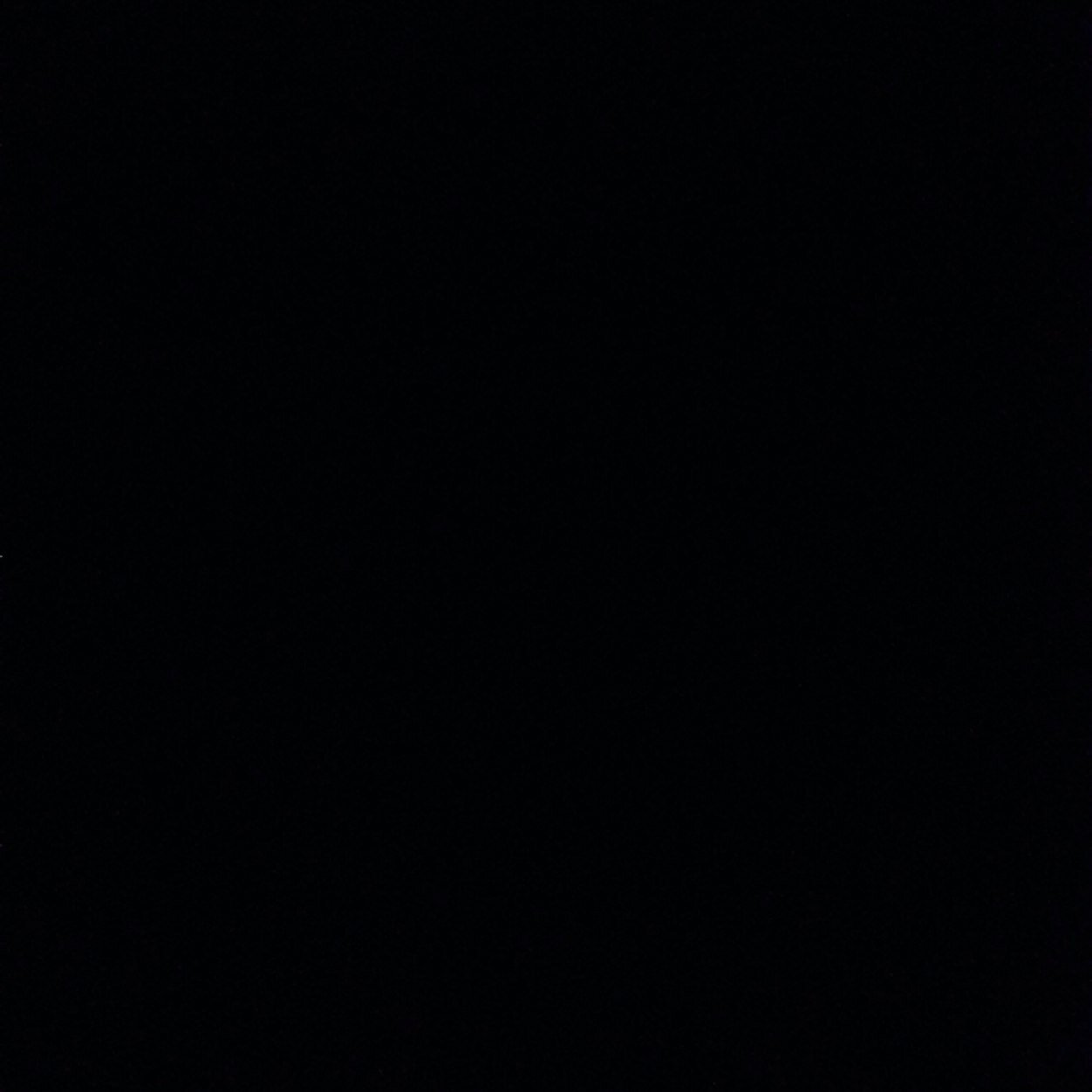 pointlessella's profile picture. 