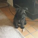 Kenya Cannon - @CannonKenya - Twitter