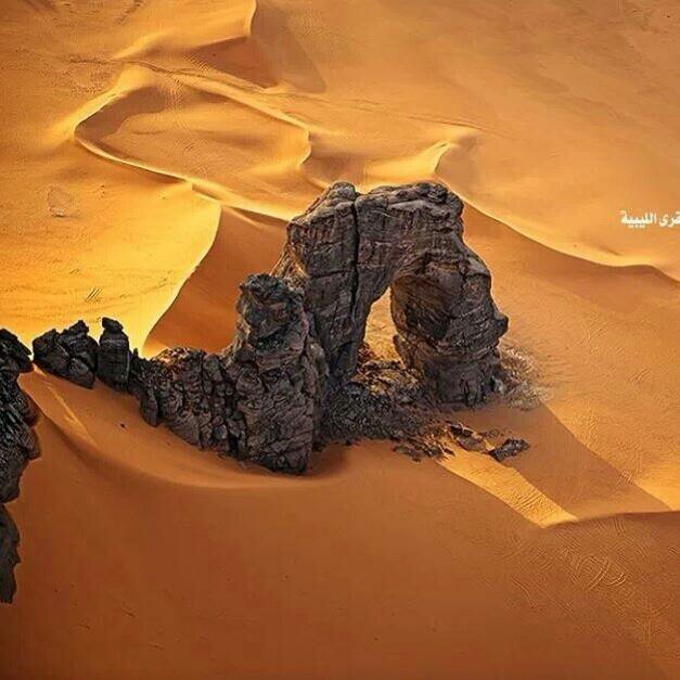 متطوع في خدمة ليبيا الحرة