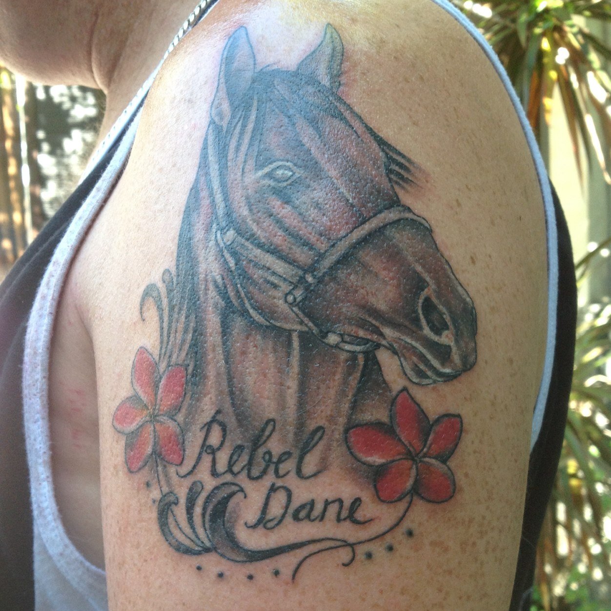 chris_kbaker's profile picture. 