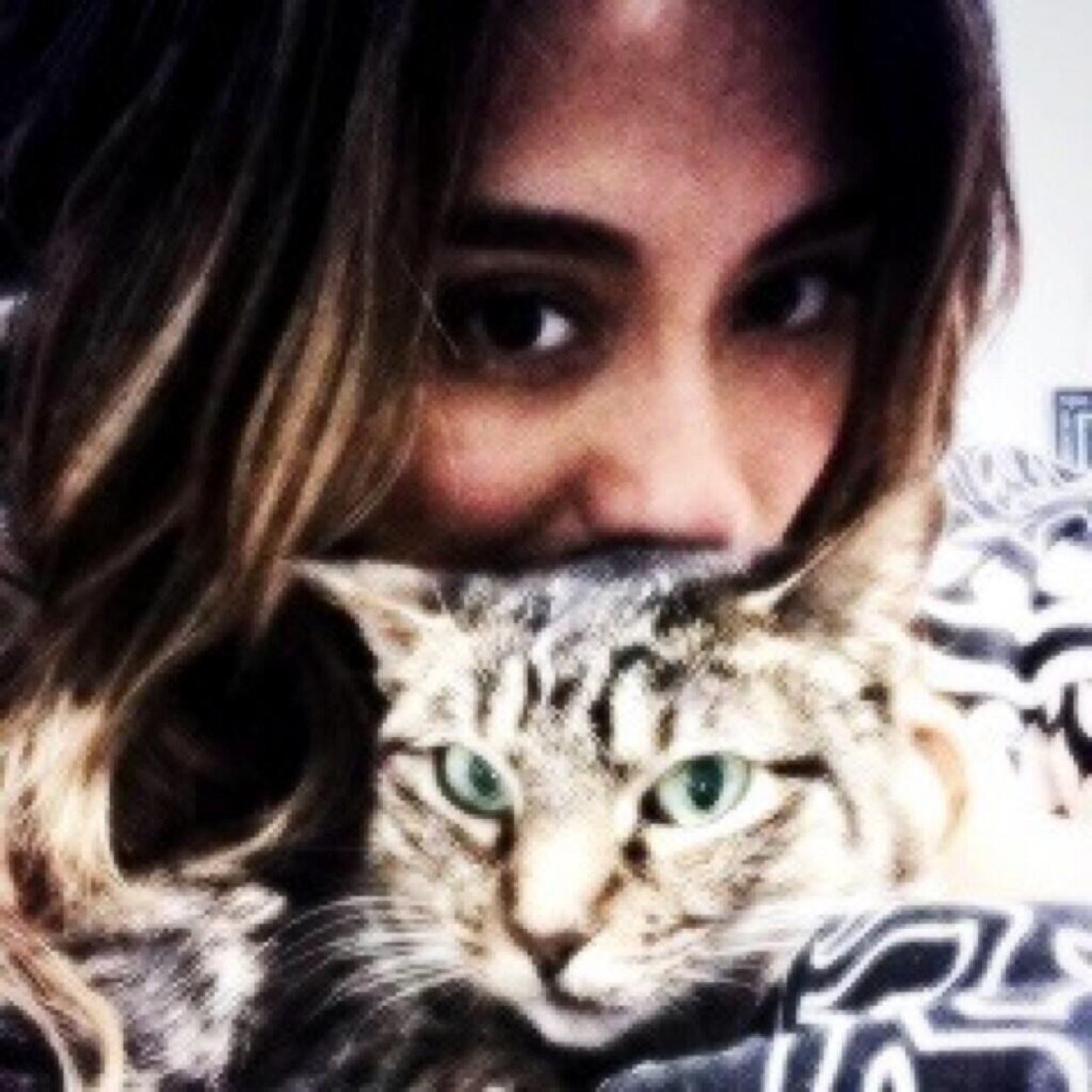 this is a free follow. please follow @casualovato :)