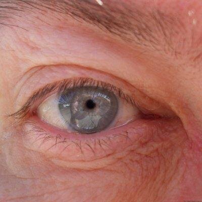 Profile Picture of Brian H. Gill (@Aluwir) on Twitter