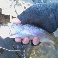 Joseph Connor (@jsmc045) 's Twitter Profile