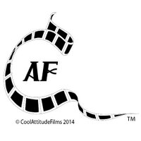 Cool Attitude Films (@coolfilms) Twitter profile photo