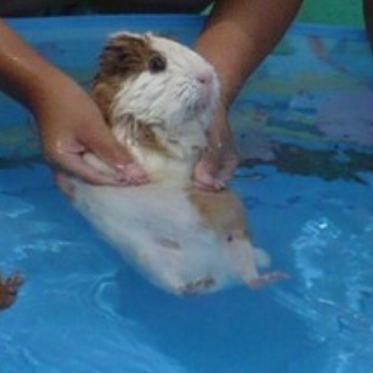 diana_muggs's profile picture. i didn't choose the mugg life, the mugg life chose me