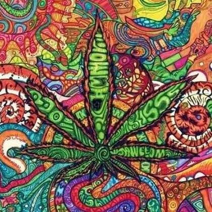 Blaze it! Legalize it!