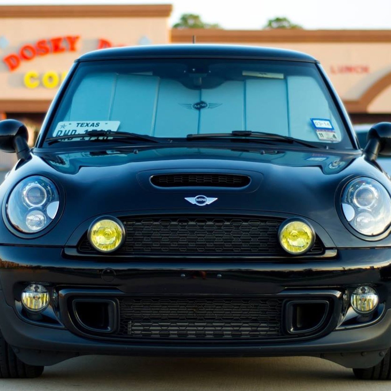 OriginsOfMisery's profile picture. 