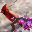 NANCY  JANE GETZ - @GRAMMYGETZER - Twitter