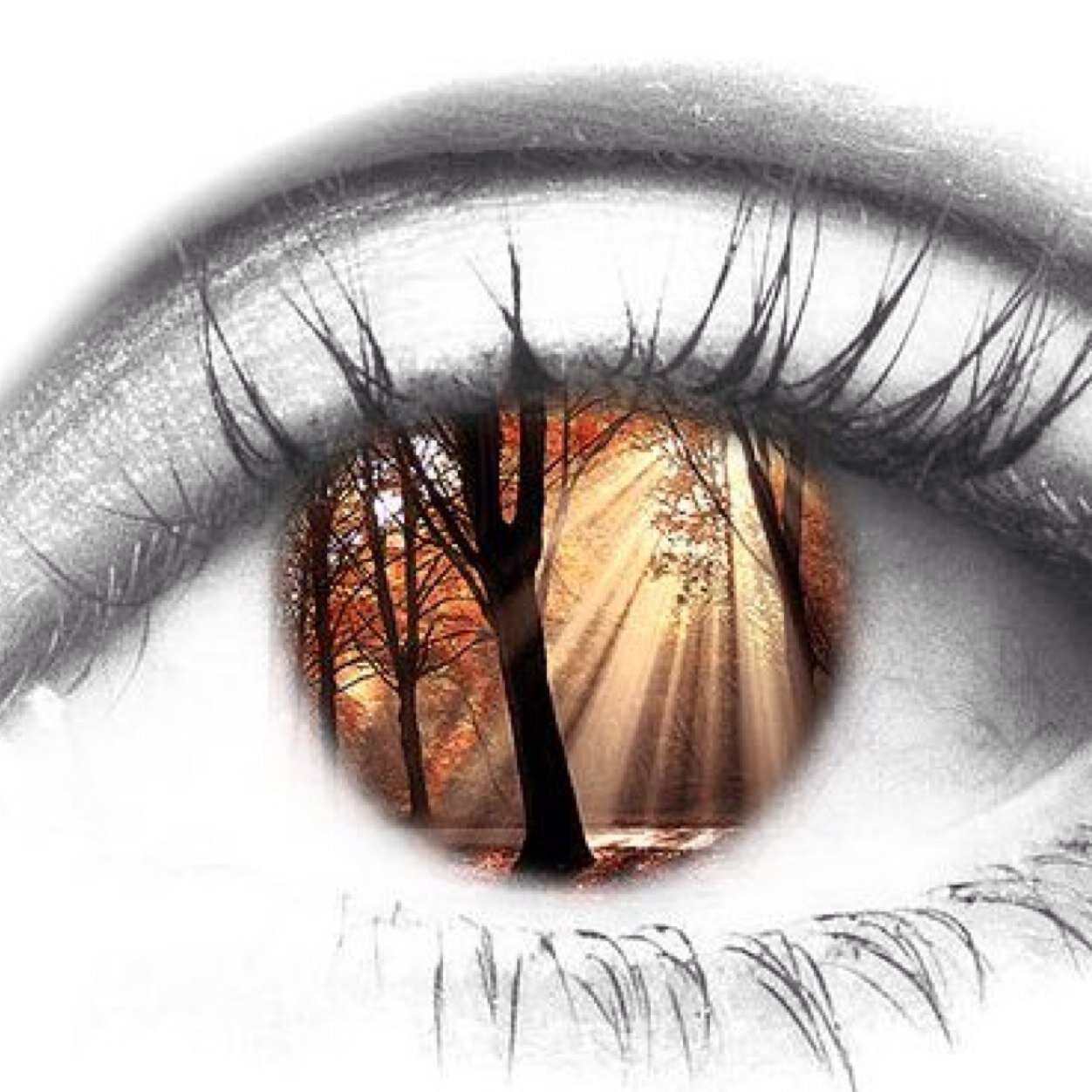 recollectionTM's profile picture. 