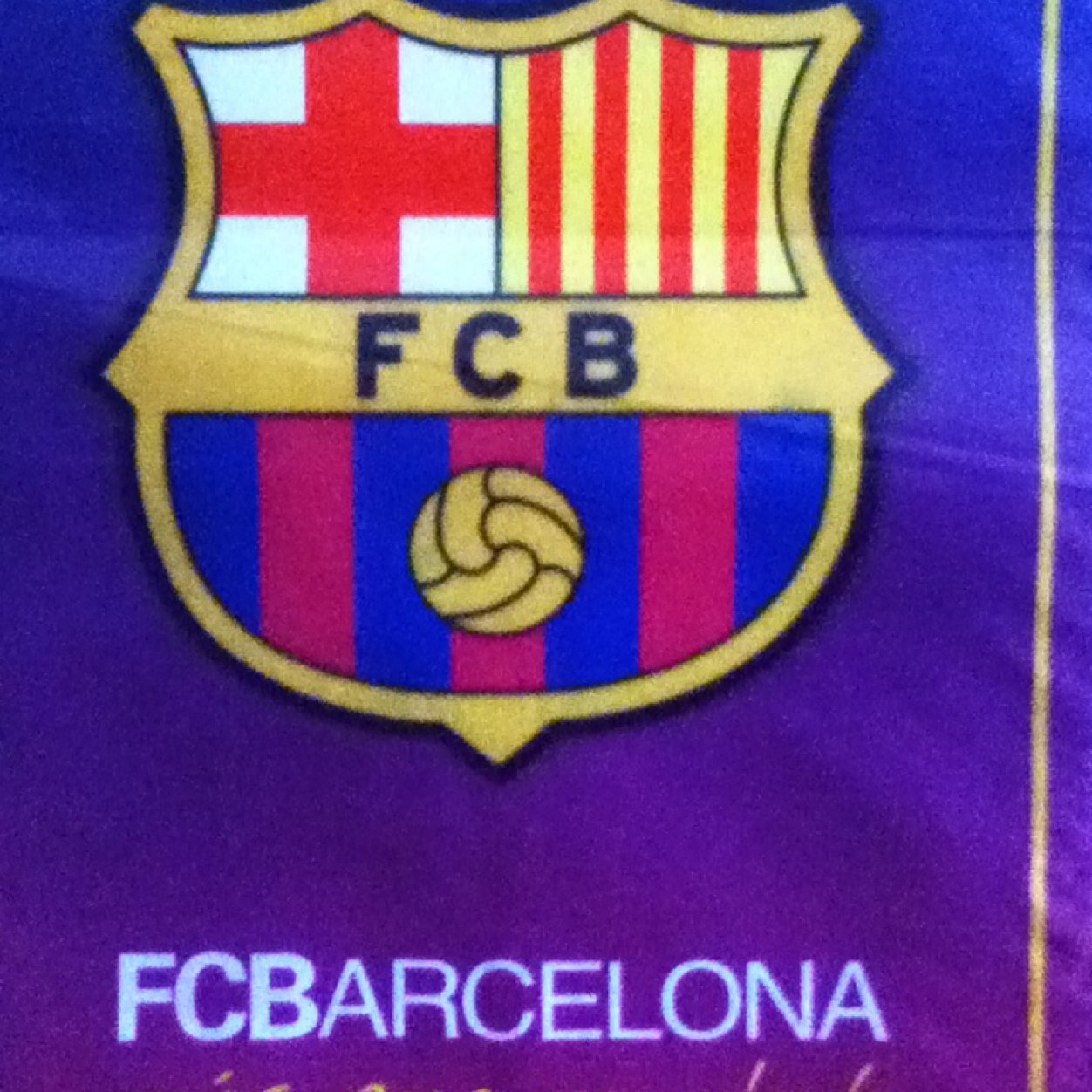 AnguloSebeast's profile picture. 