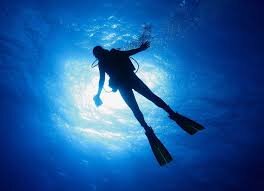 LouBerresford's profile picture. Down for laughs!