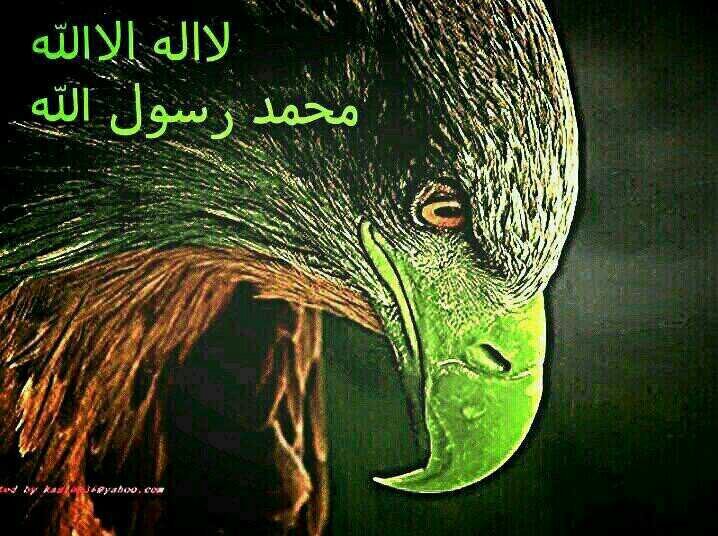 وحدةالمتحابون في الله أهل السنةوالجماعةعقيدتنا لاإلٰه إلاالله محمد رسول الله وحدتنآ ترهب أعداءاللـٰه @aboaser11@AboAser2RWX @AboASER777RWX