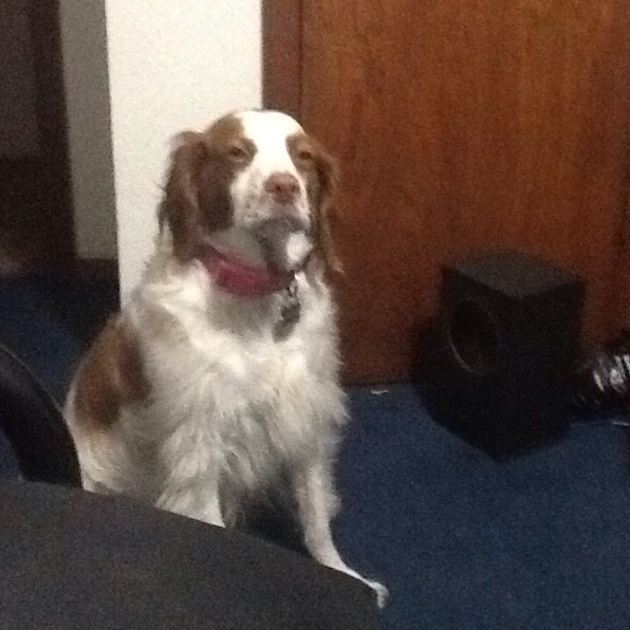 TobySmith_33's profile picture. 