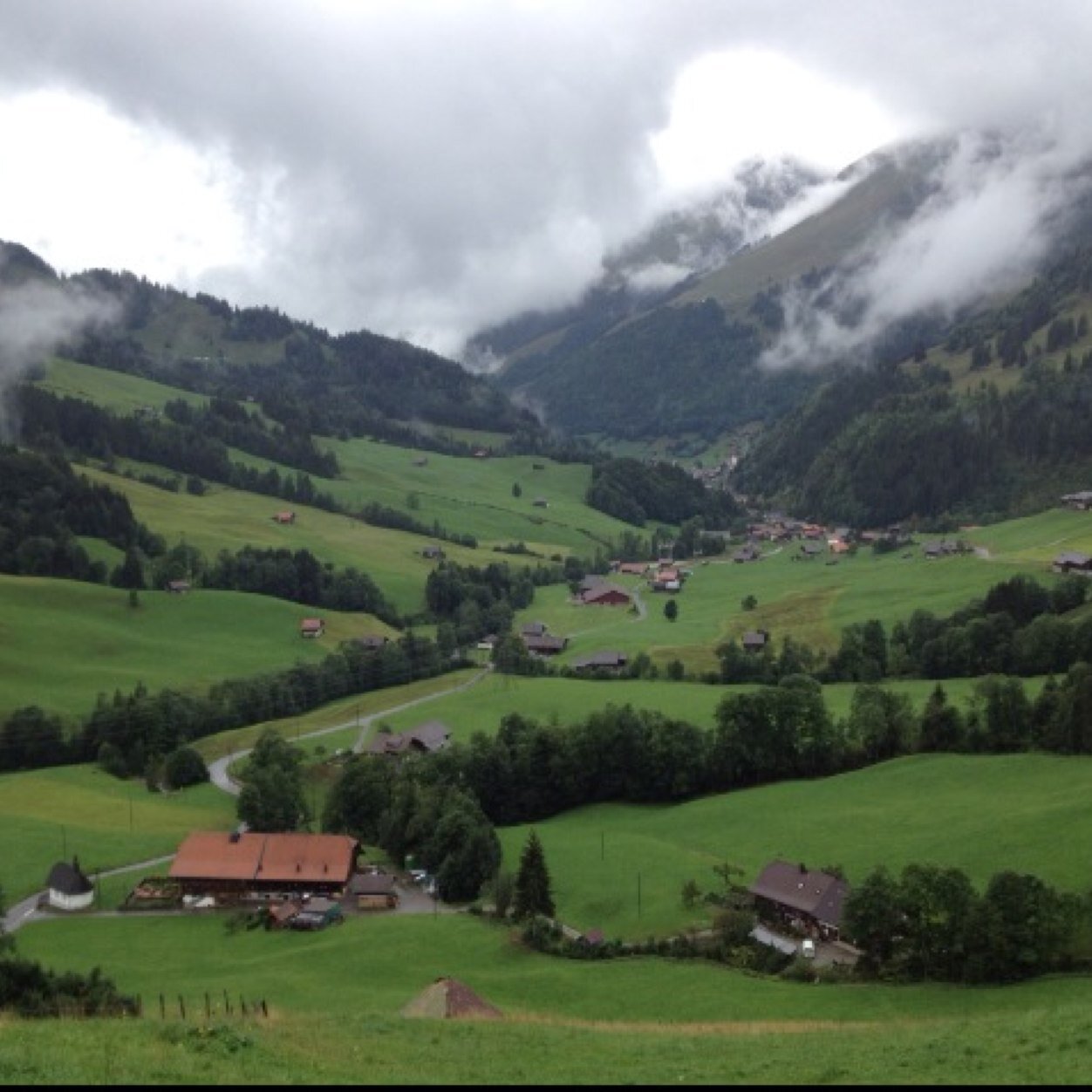 alrusayyis_k's profile picture. 