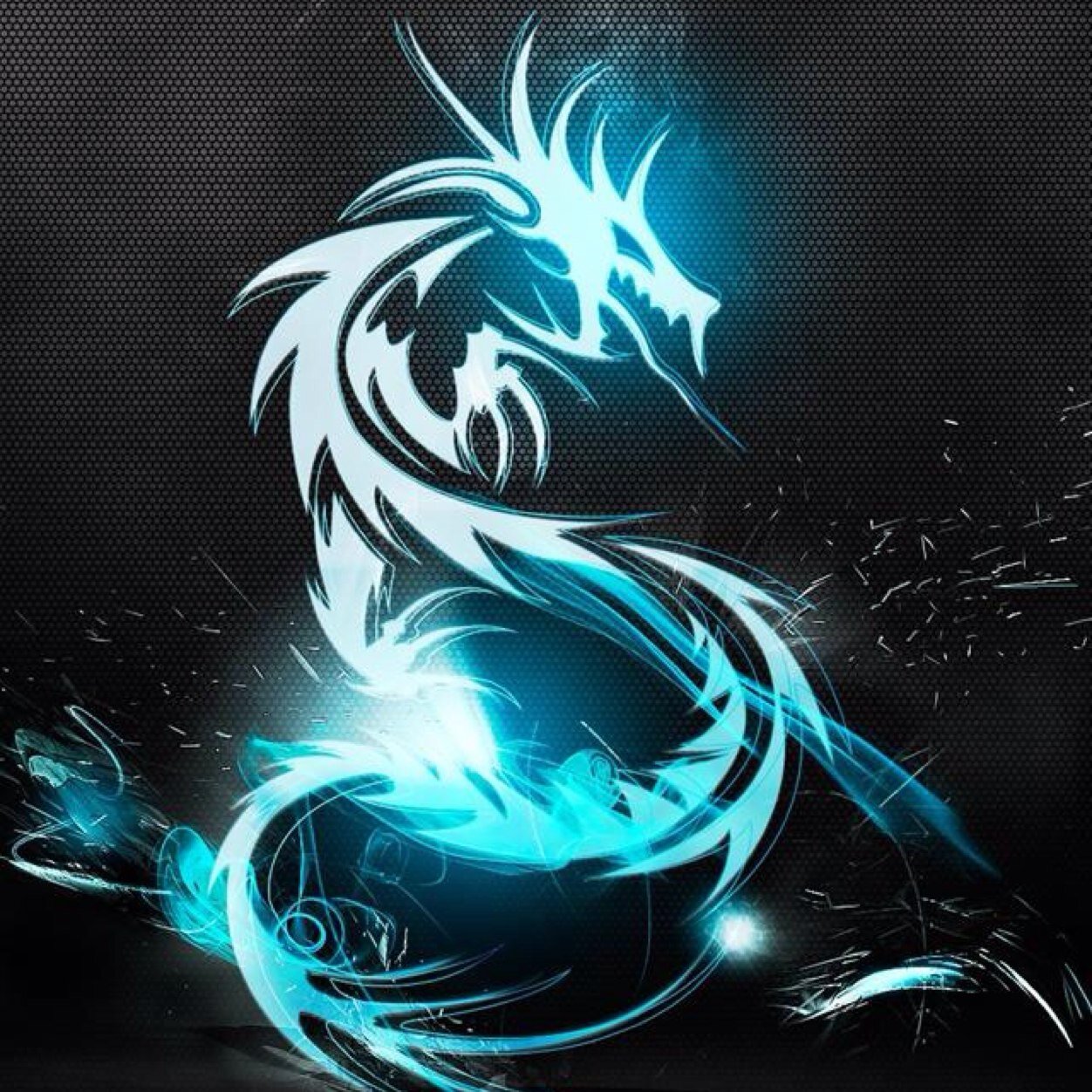 bluedragon19016's profile picture. 