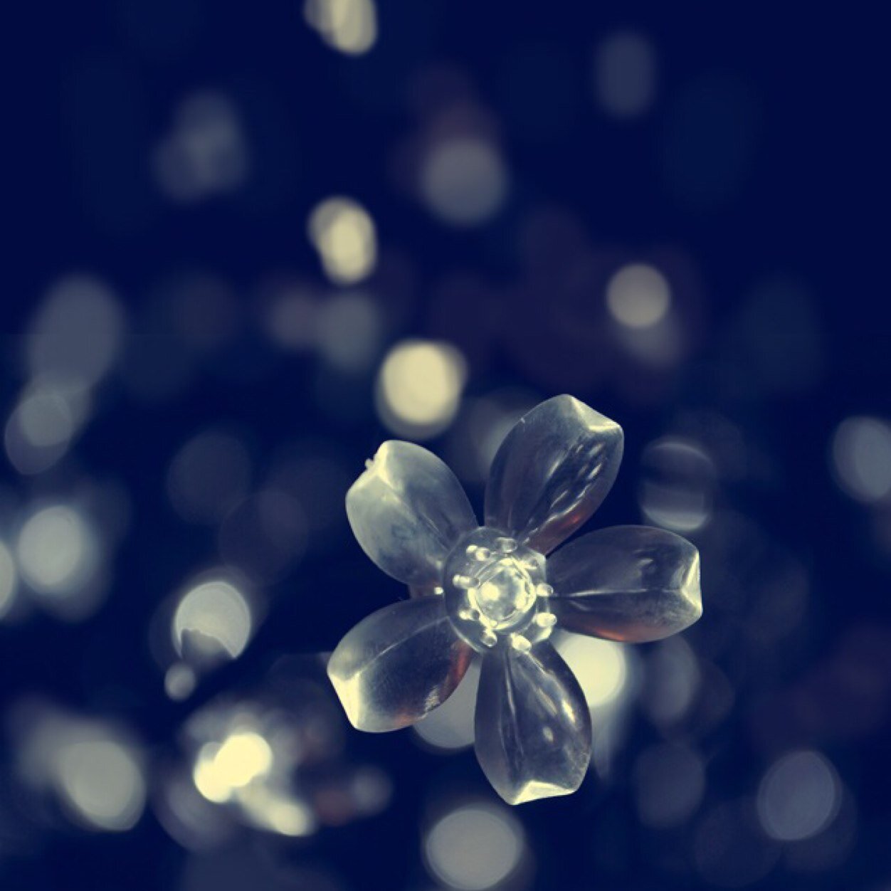 amariSatoshi's profile picture. 