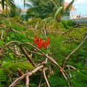 Abby Beard - @Abby26436826 - Twitter