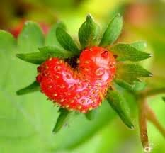 Nutrition lovers with a strong passion for research and saving money! We have a baby boy who was born on 10/21/13!