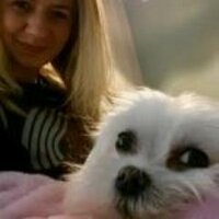 Meg (@minimegstew) 's Twitter Profile Photo