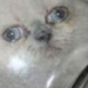 Gavin Tang - @Gavin_Potato - Twitter