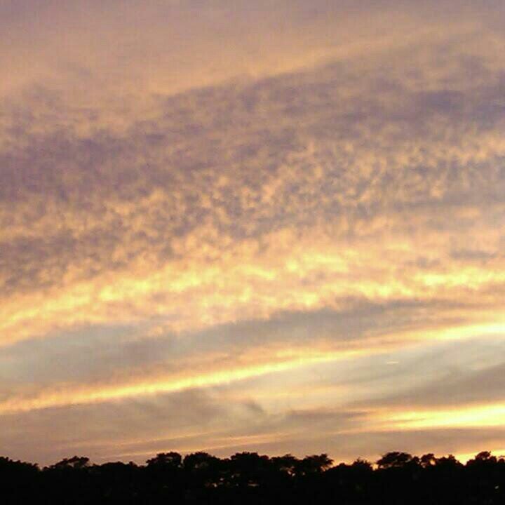 trcs555's profile picture. 