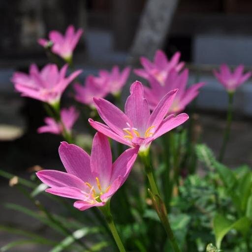 @minhminh89