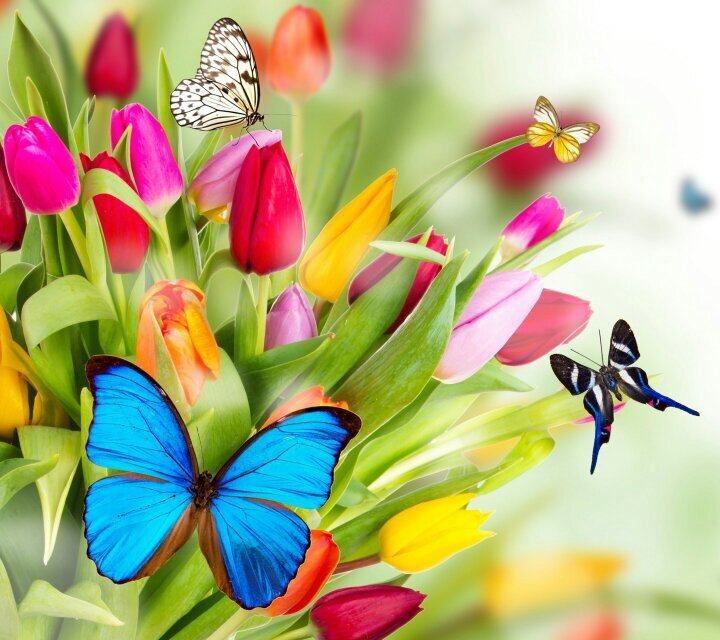 LisaHoneyBee's profile picture. 