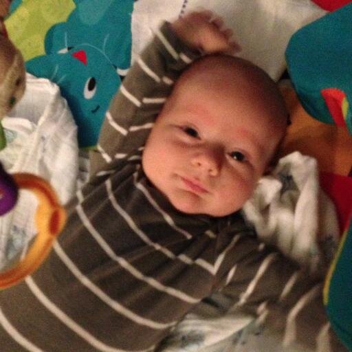 karissafinley's profile picture. 