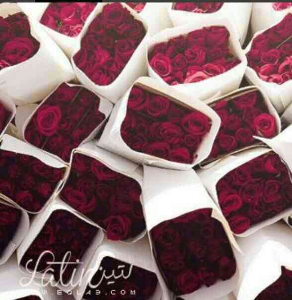 ‏‏‏‏‏يارب ان كان هناك حاسدا يكره ان يراني سعيدﭐ.فارزقة سعادةتنسية امر سعادتي...