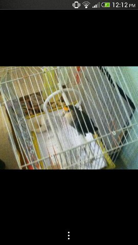 angelineissexy's profile picture. I'M SEXY AND I KNOW IT!!!