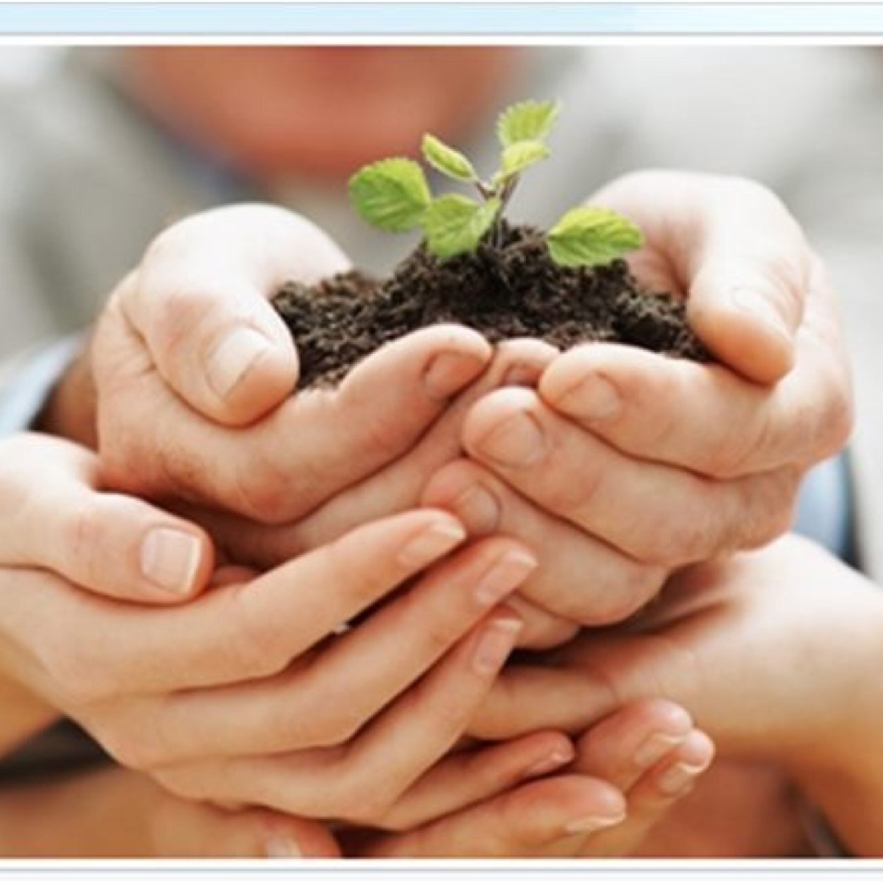 | learning & development | leadership/management development | corporate academy | e-learning | change | HRD & corporate strategy |